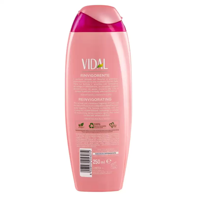 Vidal Gel De Duș Revigorant Mure Si Mosc 250 ml Bax 12 buc.